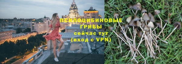 apvp Алексин