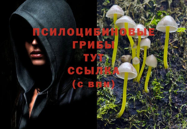 apvp Алексин