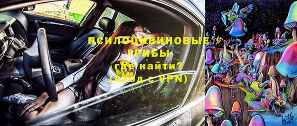 ешки Алзамай