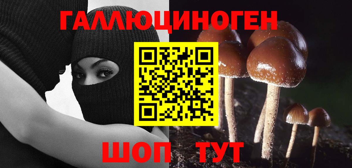 Самара  Псилоцибиновые грибы Psilocybine cubensis  Вход с VPN 